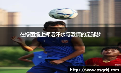 在绿茵场上挥洒汗水与激情的足球梦